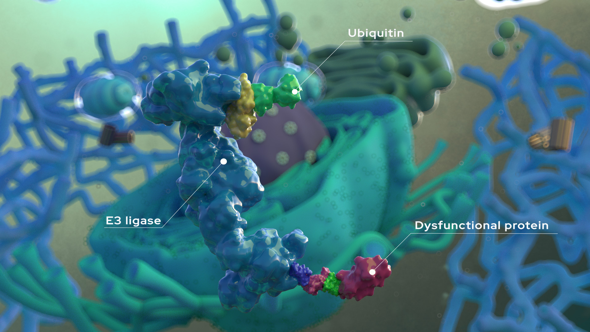 How a Startup Secured Millions with Science-Driven Storytelling