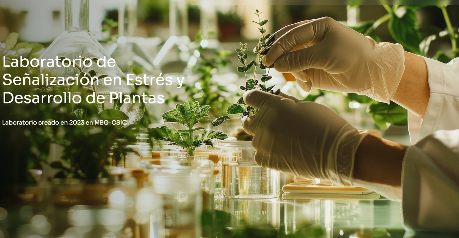 Helping a Research Center Attract Key Talent and Increase Visibility